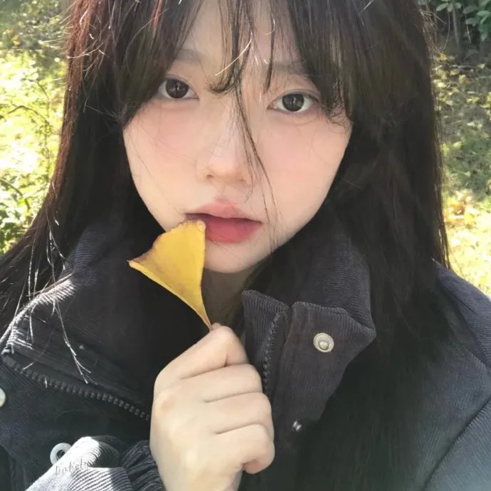 冬天的小苍蝇