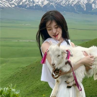 智者:大卫雀斯与黑道家族